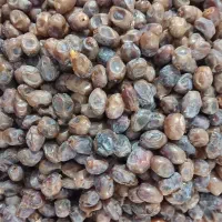 فروش خرما|حراج|شادگان, |دیوار