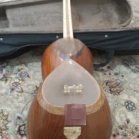 تار سه تار. تار پنجه طاووسی