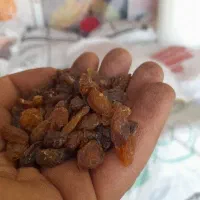 کشمش آفتابی خشک کاشمر گوشتی و درجه ۱ به شرط