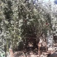 ملک تجاری ومسکونی  بر خیابان هفت تیر