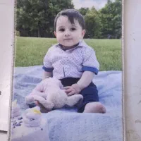 تابلو‌ فرش چاپی|تابلو فرش|تهران, بازار|دیوار