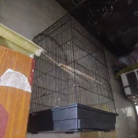 قفس بزرگ|لوازم جانبی حیوانات|اهواز, کوی رمضان|دیوار