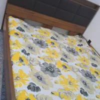 تخت ام دی اف|تخت و سرویس خواب|نوشهر, |دیوار