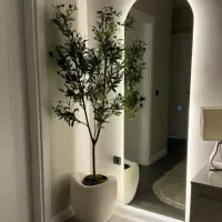 ۱۵۵ متر تاپ لوکیشن زعفرانیه