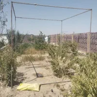 طور بند قفس بزرگ