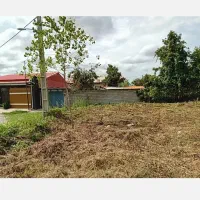 فروش زمین ۲۳۳ متری رشت روستای بیجاربنه