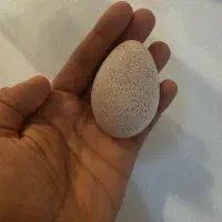 تخم بوقلمون