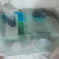 اکواریوم