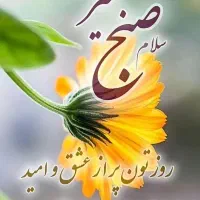 خط ایرانسل دائمی