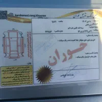 مزدا ۲۰۰۰|خودرو سواری و وانت|آق قلا, |دیوار