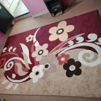 فرش فانتزی ۶ متری|فرش|صدرا-فارس, فاز ۱|دیوار