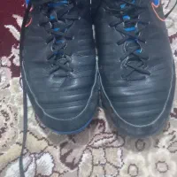 کفش سالنی تمپو x