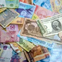 ارز کاغذی کلکسیونی