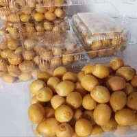 خارک برحی