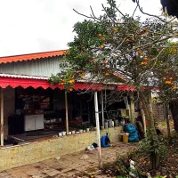 ویلا400متری-بر-آسفالت-جاده-لشت-نشا-به-خشکبیجار