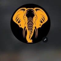 نیروی کار جهت تمیز کاری و شستشو ماشین