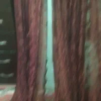 دوعدد والان گیپور قهوه آیی