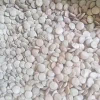 عدس درشت و خوشپخت