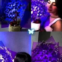 دسته گل پروانه ای هدیه روز دختر کادو تولد رمانتیک|گل مصنوعی|کرج, حصارک بالا|دیوار