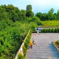 پلاک صفر جنگل واقعی* محیطی دنج و ارام* زیرقیمت بخر|فروش خانه و ویلا|نوشهر, |دیوار