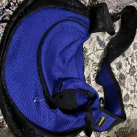 آغوشی سگ یا گربه