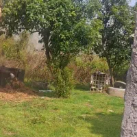 آپارتمان-در-خزانه-بخارایی