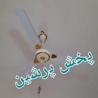 پنکه سقفی آرنولد شوارتزنگر کالیفرنیا|پنکه و تصفیه‌کنندهٔ هوا|تهران, جمهوری|دیوار