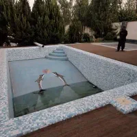 ساخت و بازسازی استخر|مصالح و تجهیزات ساختمان|چهارباغ, |دیوار