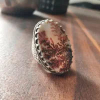 انگشترشجردرشت