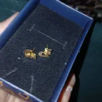 گوشواره حروف پی