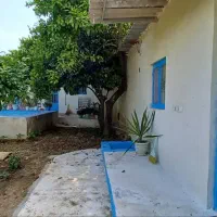 به دنبال مستاجر خانم|اجارهٔ خانه و ویلا|ساری, |دیوار