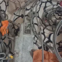 تیفور المانی