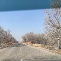 طبیعت گردی