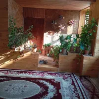 نقاشی ساختمان حرفه ای|خدمات پیشه و مهارت|شیراز, رکنآباد|دیوار