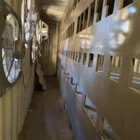 خدمات تخصصی راه‌اندازی فارم ماینر (0 تا 100)|خدمات رایانه‌ای و موبایل|سبزوار, رضوی|دیوار
