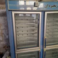 جوجه کش سالم