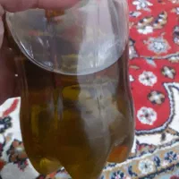 روغن زیتون
