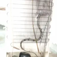 یخچال سرهال|یخچال و فریزر|دهدشت, |دیوار