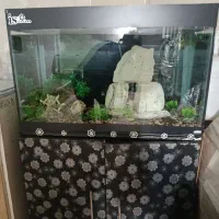 آکواریوم|ماهی|پاکدشت, خاتون آباد|دیوار