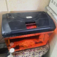 اکواریوم شرکتی دیلسا|ماهی|اصفهان, احمدآباد|دیوار