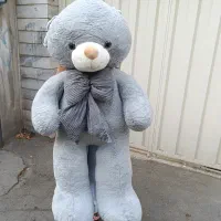 خرس بزرگ طوسی