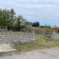 زمین سنددار شمالی جنوبی|فروش زمین و ملک کلنگی|هچیرود, |دیوار