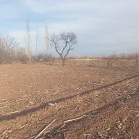 فروش و اجاره زمین کشاورزی|اجارهٔ دفتر صنعتی، کشاورزی، تجاری|فیرورق, |دیوار