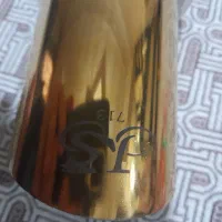 اگزوز