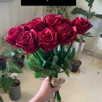 گل رز ساتنی