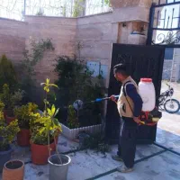 سمپاشی وباغبانی صددرصد تضمینی