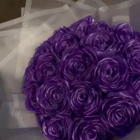 گل جاودان|گل مصنوعی|رشت, پاره بیجار|دیوار