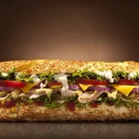 انواع ساندویچ ۵۵ت،همبرگرد۶۹ت بندری ۹۵ت استیک۱۴۰ت و