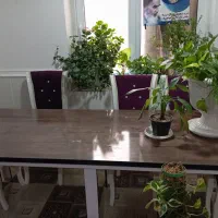 میزو صندلی نهارخوری