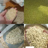 تعاونی زنگویی داخل کارگر29حبوبات برنج روغن کالابرگ